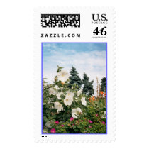 Vineyard Garden Stamp by donnabellas Vineyard Garden Stamp