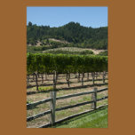 Vineyard Grape Fields Poster Print posters