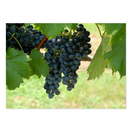 Vineyard Grapes Business Card Templates (front side)