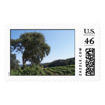 Vineyard I postage by mrstorigirl Vineyard I postage