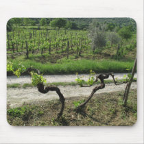 Vineyard in Chianti Region of Italy mousepads by AndyPo Vineyard in Chianti Region of Italy mousepads