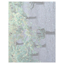 Vineyard, Napa Valley, California from the Forest Letterhead Template