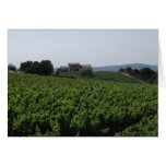 Vineyard near Avignon cards