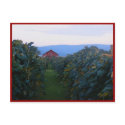 Vineyard postcards