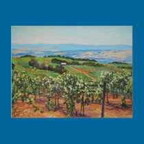 Vineyard Postcard postcards