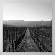 Vineyard Print