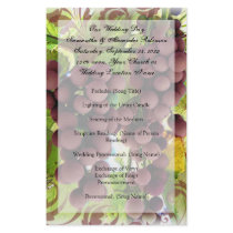 Vineyard Purple/Green Grape Vineyard Program Flyers