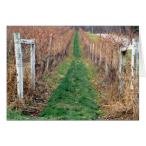 Vineyard Row cards