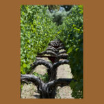 Vineyard Row Poster Print posters