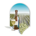  Vineyard Scene magnet