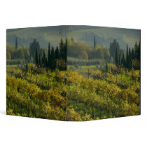 Vineyard, Tuscany, Italy Vinyl Binders