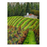 Vineyards in Healdsburg, CA  Post Card