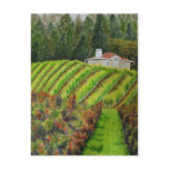 Vineyards in Healdsburg, CA  Post Card