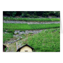 Vineyards in Switzerland cards by Riviere Vineyards in Switzerland cards