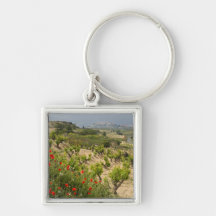 Vineyards near Laguardia, capital of La Rioja Key Chains