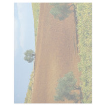 Vineyards near Montilla, Andalusia, Spain at the C Letterhead