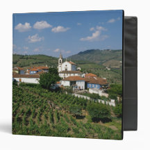 Vineyards, Village of San Miguel, Douro Binders