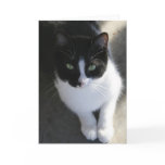 "Vinnie" All-Occasion Greeting Card