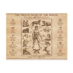 Vintage 12 Signs of the Zodiac Postcards