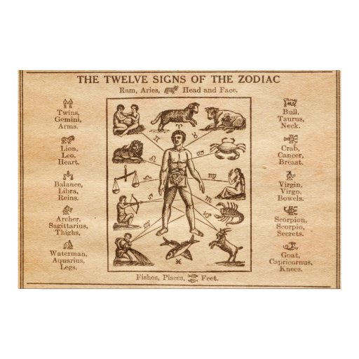 Vintage 12 Signs of the Zodiac Poster Zazzle