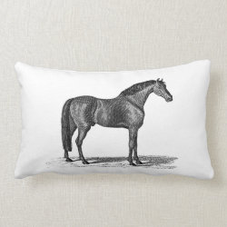 Vintage 1800s Arabian Horse Illustration - Horses Pillows