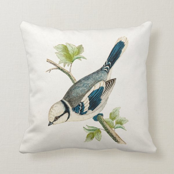 Vintage 1800s Blue Bird Songbird Birds Drawing Pillows