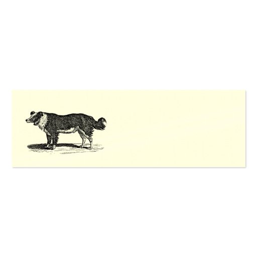 Vintage 1800s Border Collie Dog Illustration Business Card Templates