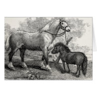 Vintage 1800s Clydesdale Horse Highland Pony Card