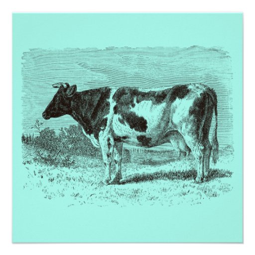 Vintage 1800s Dutch Cow Retro Cows Aqua Blue Custom Invitation