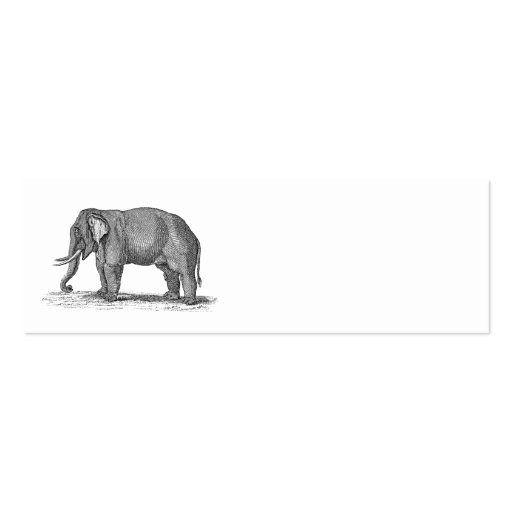 Vintage 1800s Elephant Illustration - Elephants Business Cards
