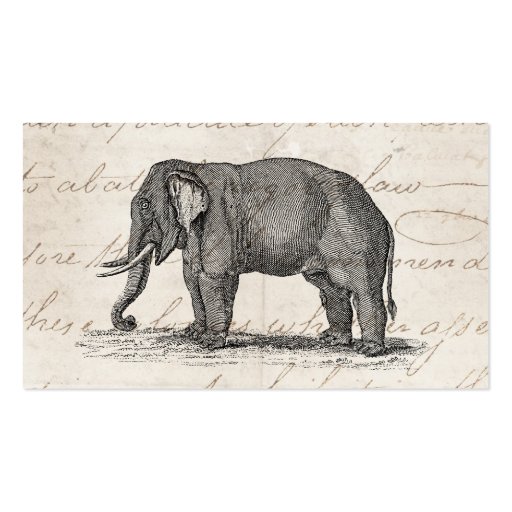 Vintage 1800s Elephant Illustration - Elephants Business Card (front side)