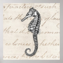 Vintage 1800s Hawaiian Sea Horse Illustration Poster