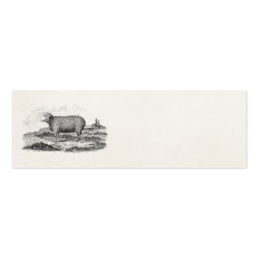 Vintage 1800s Merino Sheep Ewe Lamb Template Business Cards (front side)