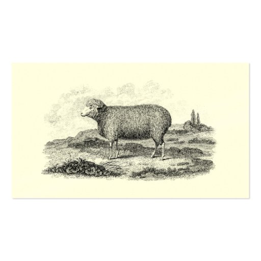 Vintage 1800s Merino Sheep Ewe Lamb Template Business Card Template (front side)