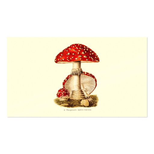 Vintage 1800s Mushroom Red Mushrooms Template Business Card Template (front side)