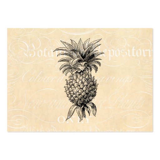Vintage 1800s Pineapple Illustration Pineapples Business Cards (front side)