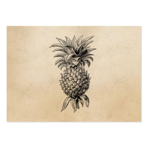Vintage 1800s Pineapple Illustration Pineapples Business Card (front side)