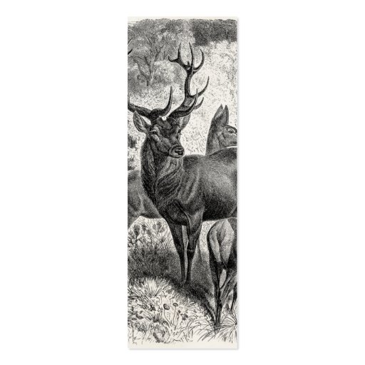 Vintage 1800s Red Deer Illustration Stag Doe Fawn Business Card Templates (front side)