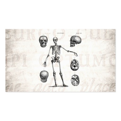 Vintage 1800s Skeleton Antique Anatomy Skeletons Business Cards (front side)