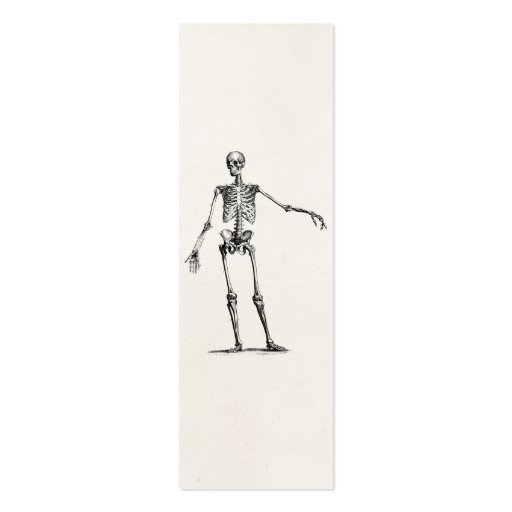 Vintage 1800s Skeleton Retro Anatomy Skeletons Business Card (front side)