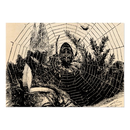 Vintage 1800s Spider Web Illustration - Spiders Business Card Template