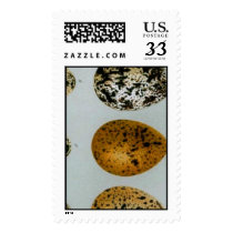 Vintage 19th Century Wild Bird Eggs Bookmark xxxxx postage by MyBookmarks Vintage 19th Century Wild Bird Eggs Bookmark xxxxx postage