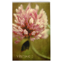 Vintage 2 - 2011 calendar