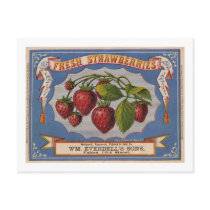 Vintage Ad for Fresh Strawberries circa 1868 postcards
