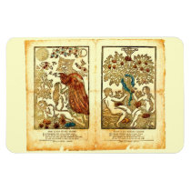 Vintage Adam and Eve Magnet magnets