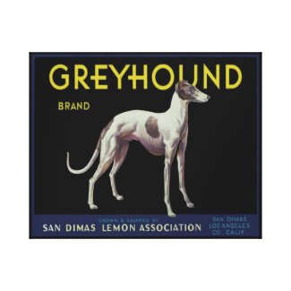 Vintage Advertising Greyhound Brand Lemons Canvas Print