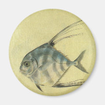 Vintage African Pompano Fish, Threadfin Trevally Fridge Magnet