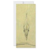 Vintage African Pompano Fish, Threadfin Trevally Rack Card Design