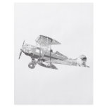 vintage air plane personalized flyer