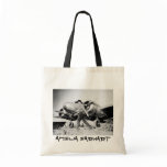 Vintage Amelia Earhart  Photo Tote Bags